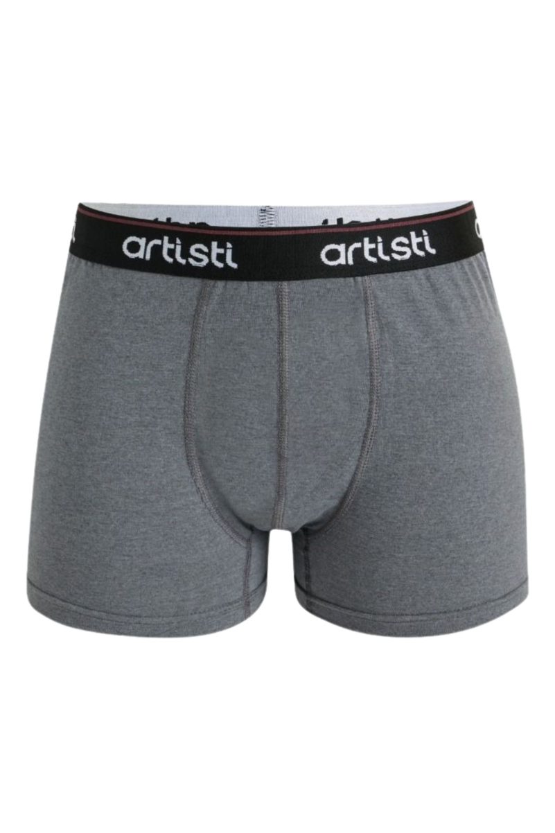 Ανδρικό Boxer Artisti Ανρθακί 6328